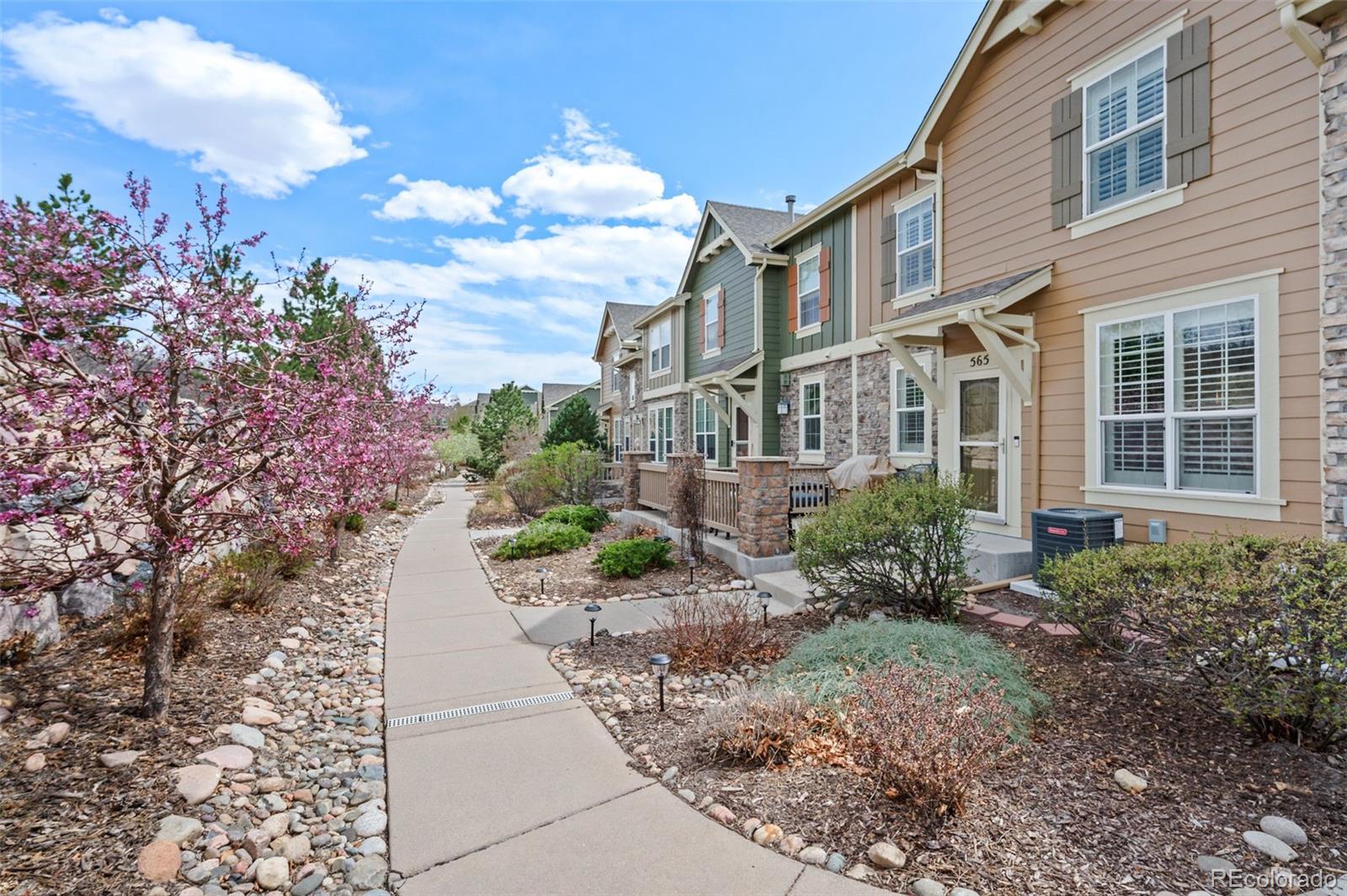 565 Hanging Rock Place Castle Rock CO 80108