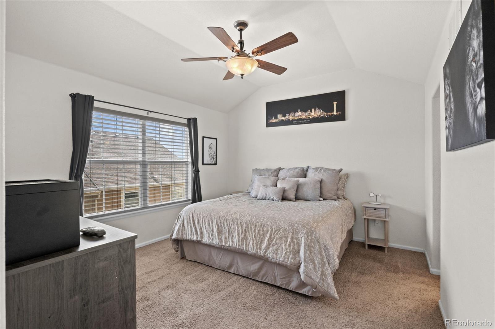 565 Hanging Rock Place Castle Rock CO 80108