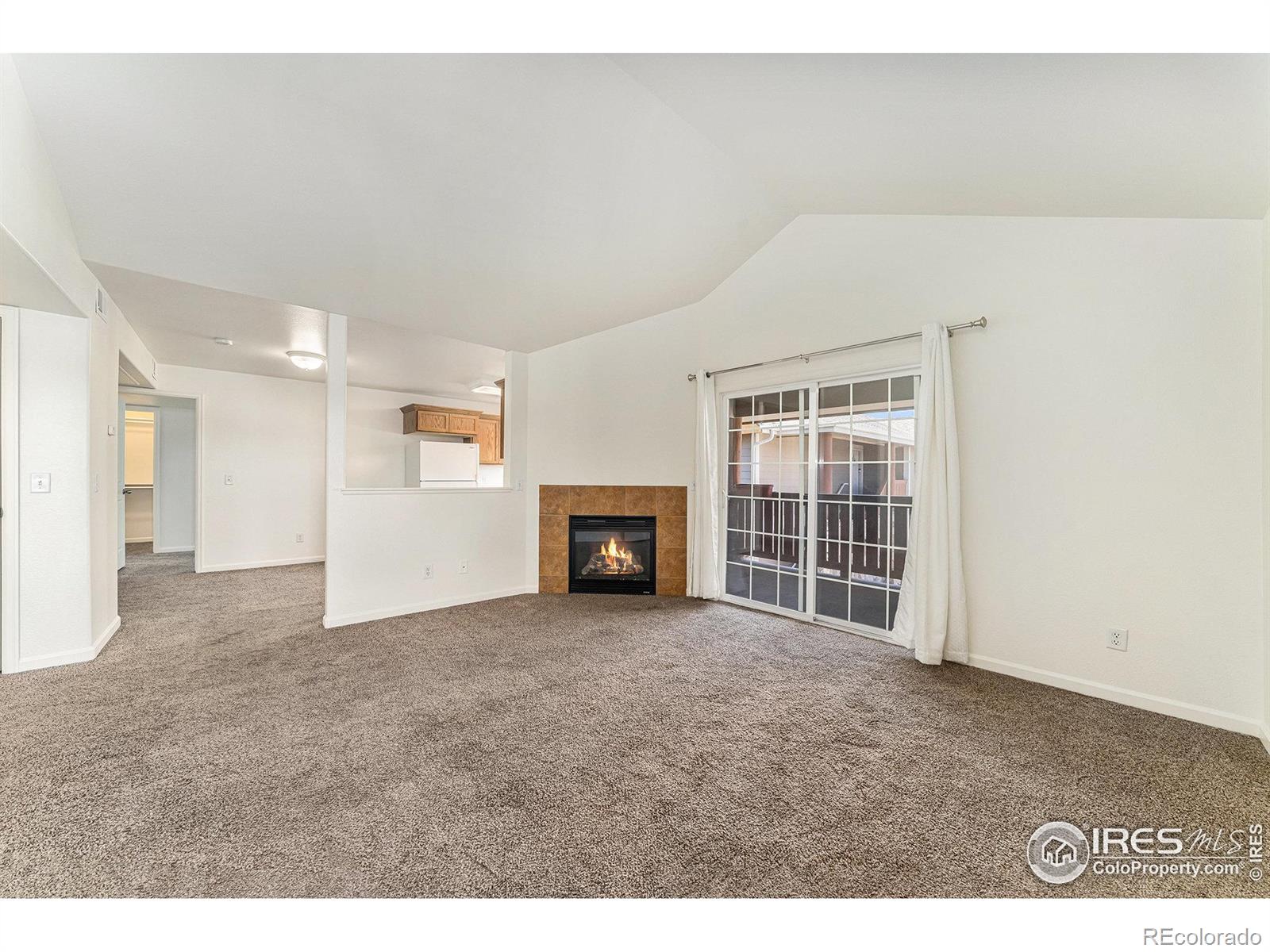 124 Beacon Way Windsor CO 80550