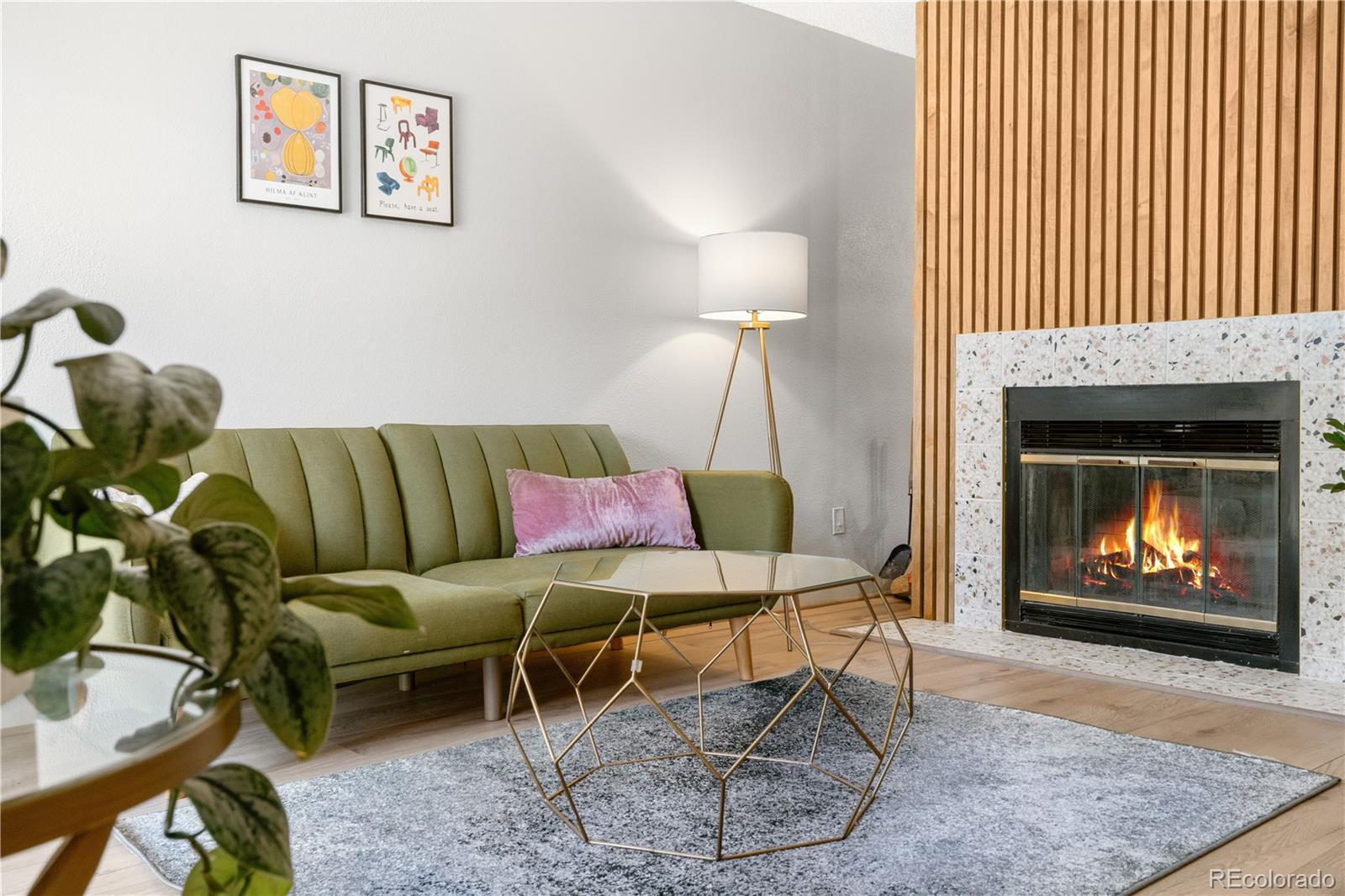 540 S Forest Street Denver CO 80246