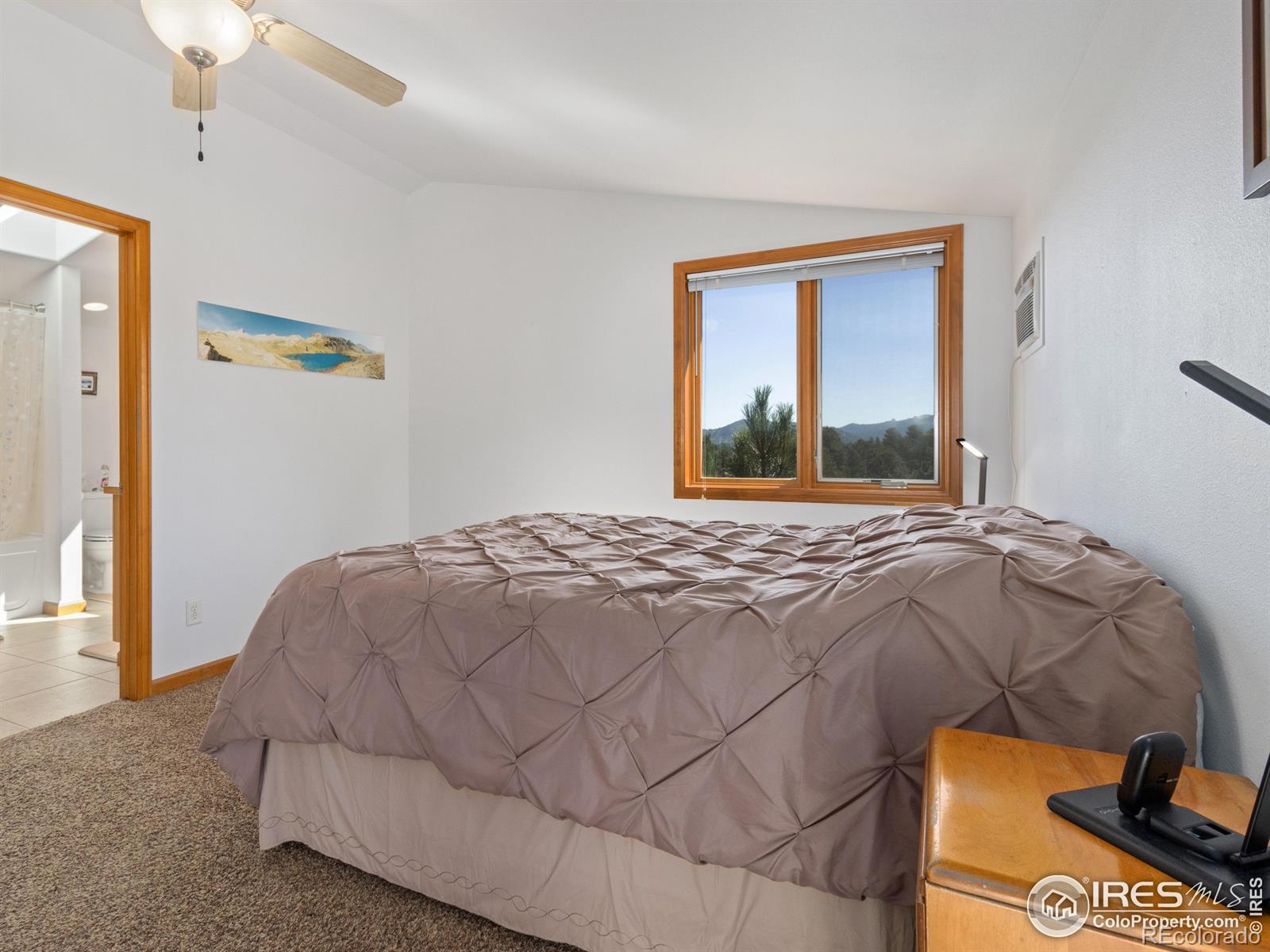 131 Willowstone Court Estes Park CO 80517