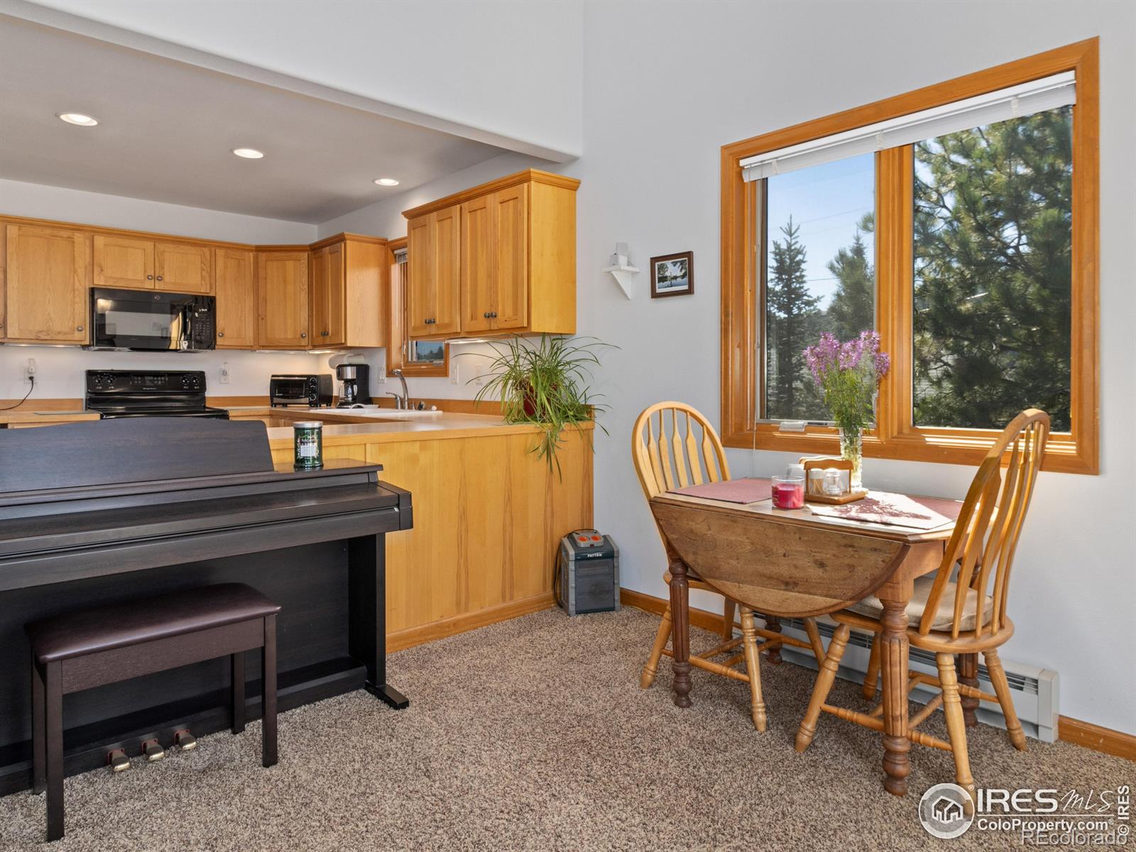 131 Willowstone Court Estes Park CO 80517