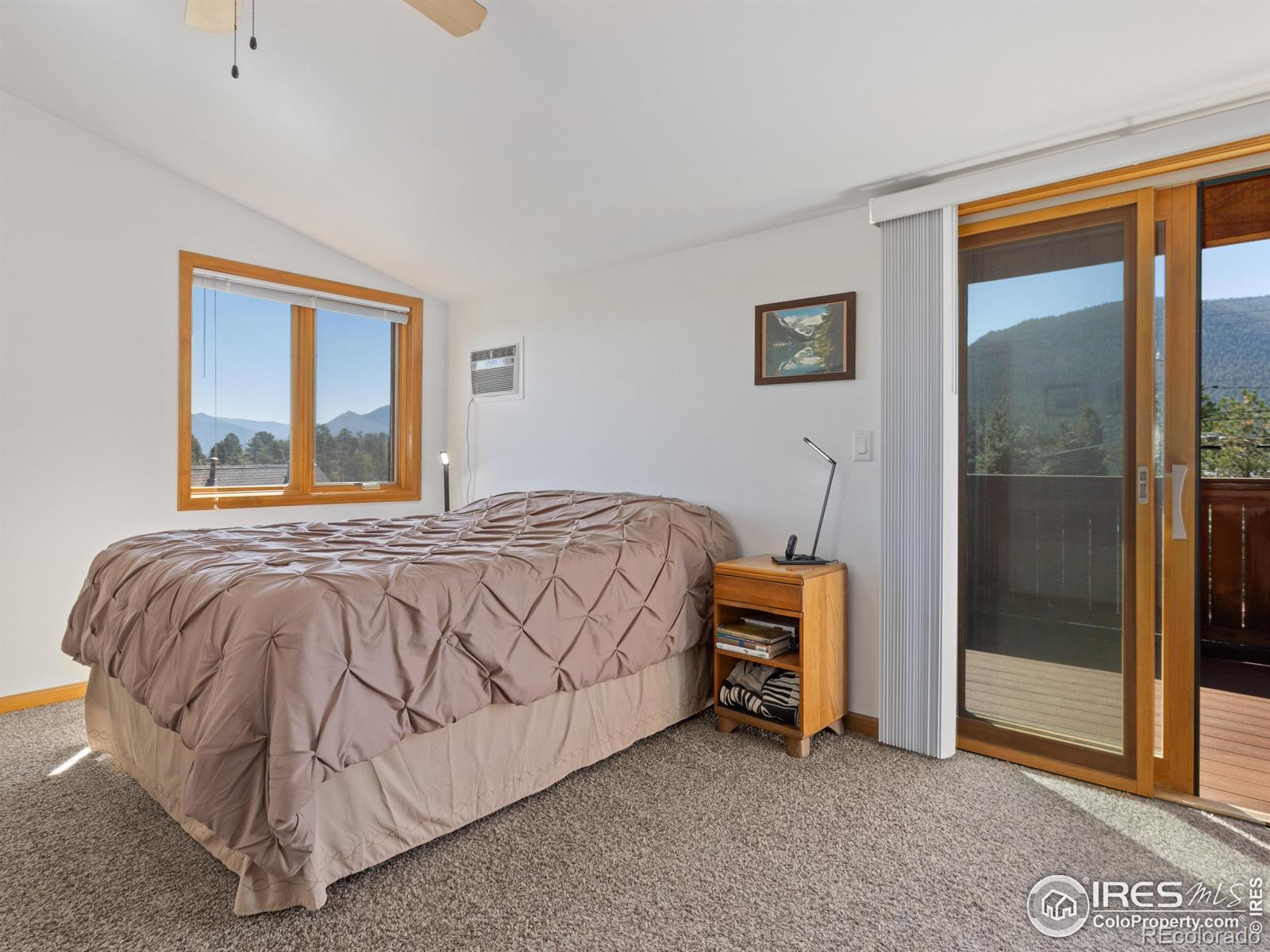 131 Willowstone Court Estes Park CO 80517