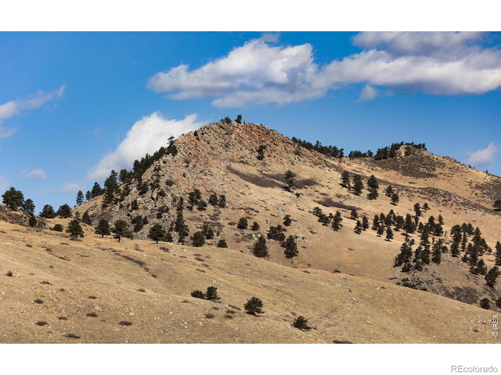 650 Terrace Avenue Boulder CO 80304