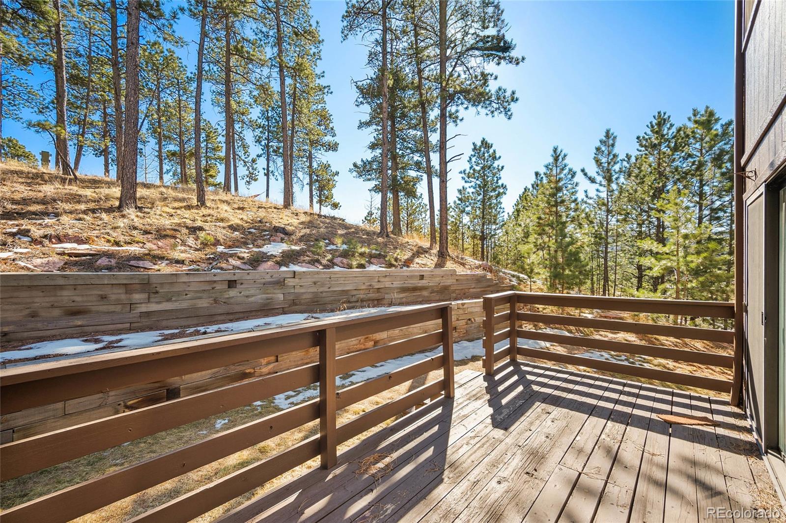 590 Manor Court Woodland Park CO 80863