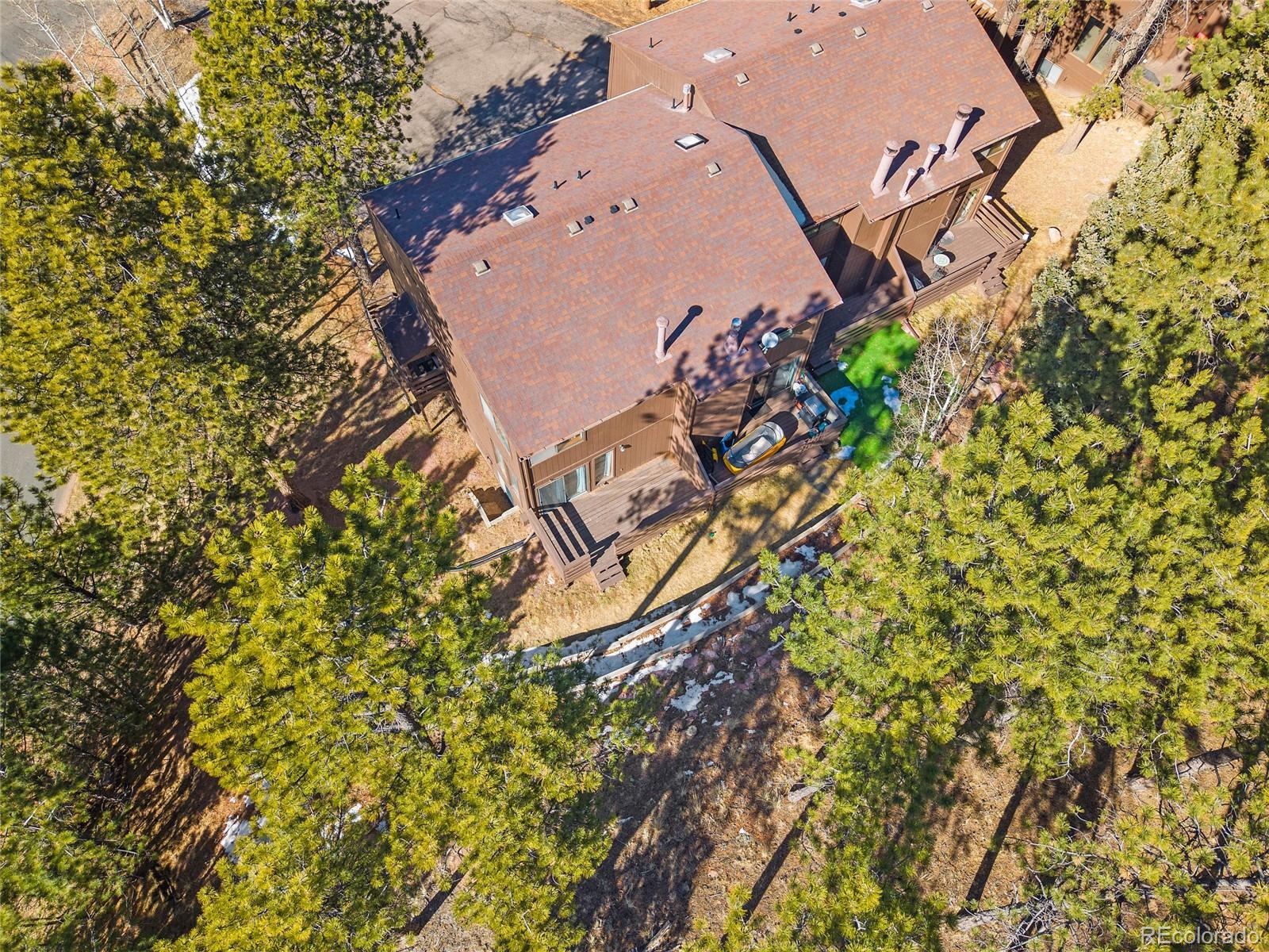 590 Manor Court Woodland Park CO 80863