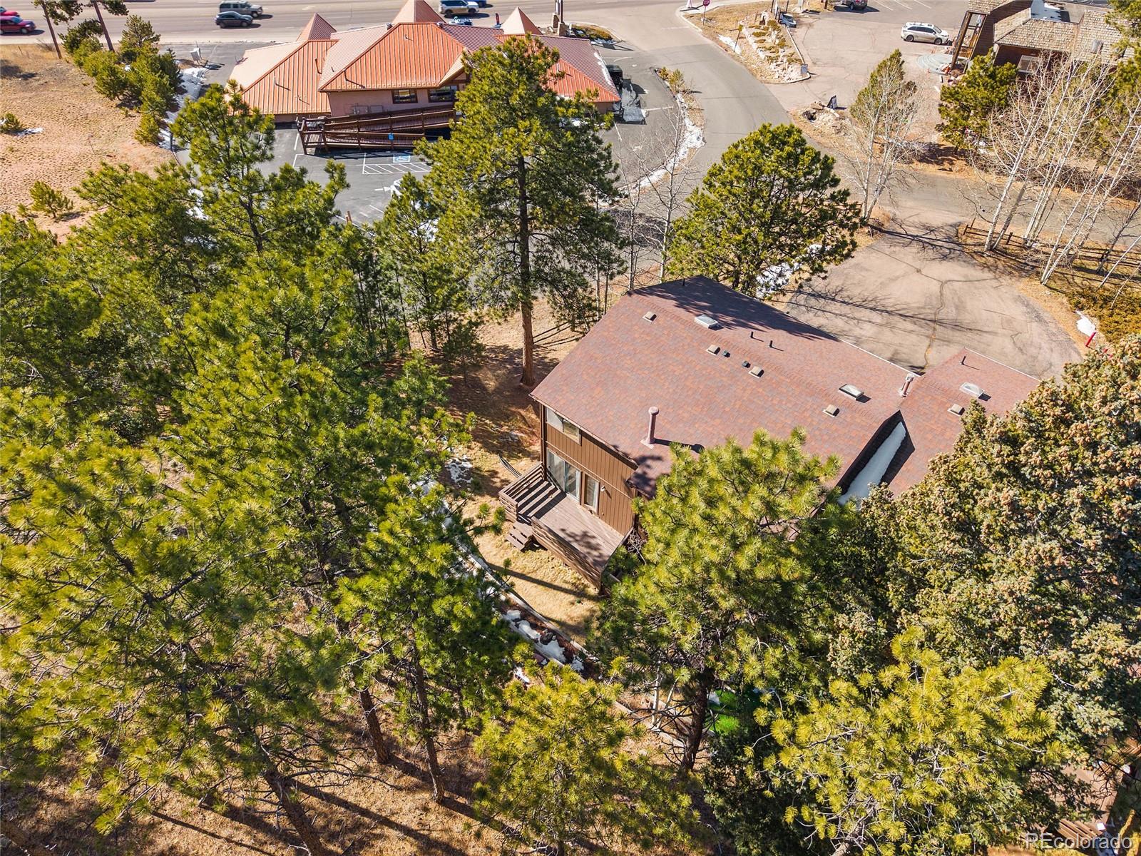 590 Manor Court Woodland Park CO 80863
