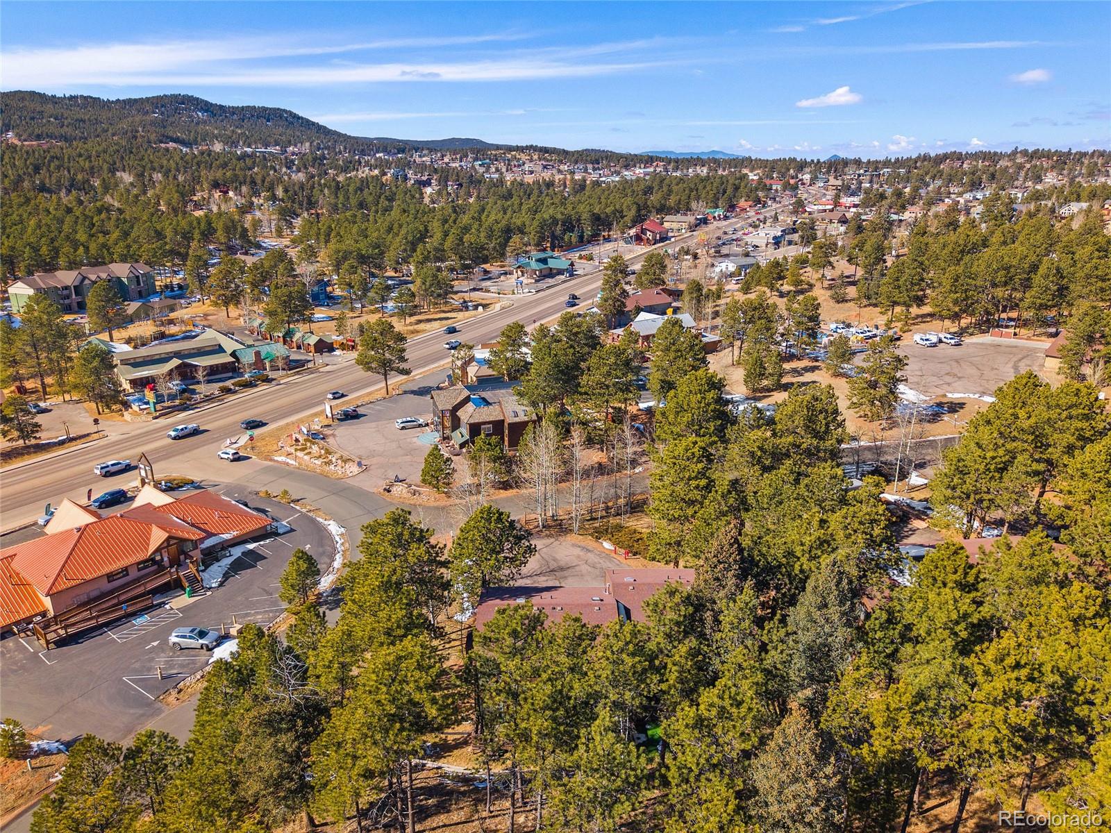 590 Manor Court Woodland Park CO 80863