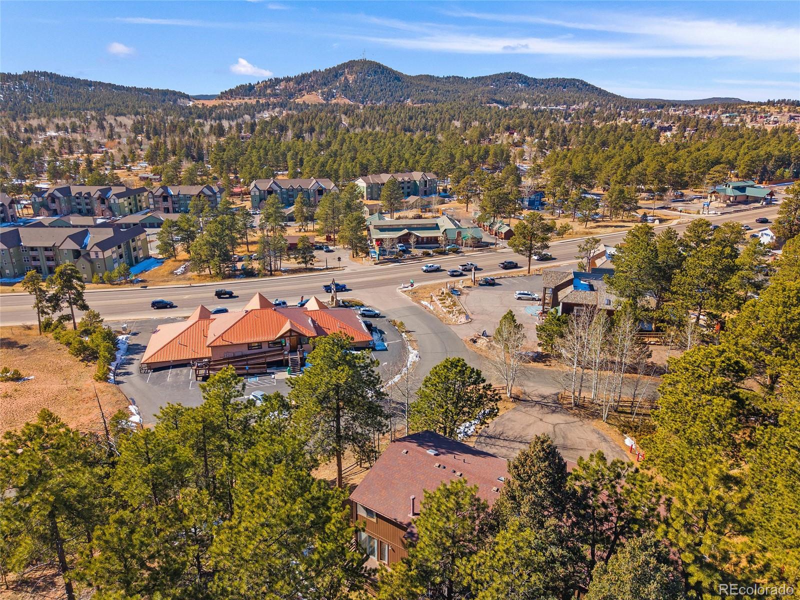 590 Manor Court Woodland Park CO 80863