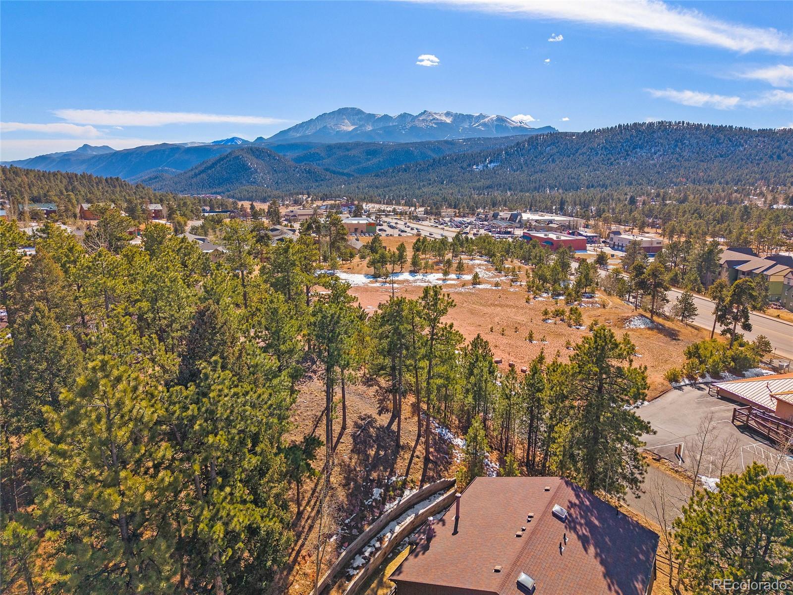 590 Manor Court Woodland Park CO 80863