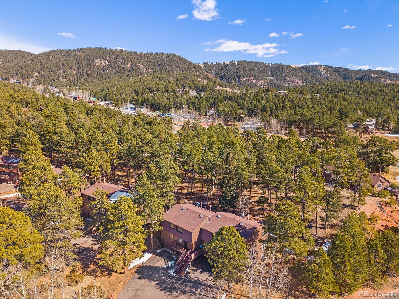 590 Manor Court Woodland Park CO 80863