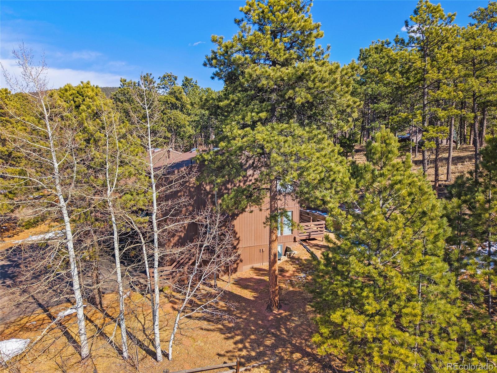 590 Manor Court Woodland Park CO 80863