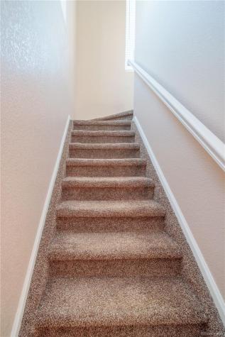 10071 Amston Street Parker CO 80134