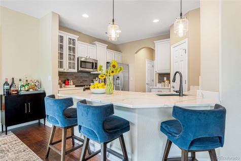 10066 Bluffmont Court Lone Tree CO 80124