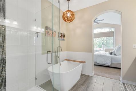 10066 Bluffmont Court Lone Tree CO 80124