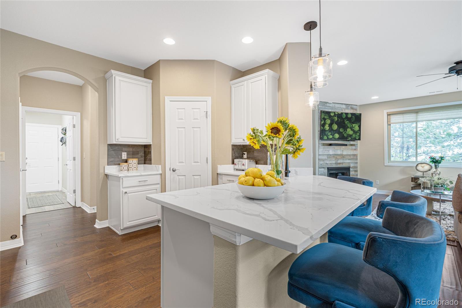 10066 Bluffmont Court Lone Tree CO 80124