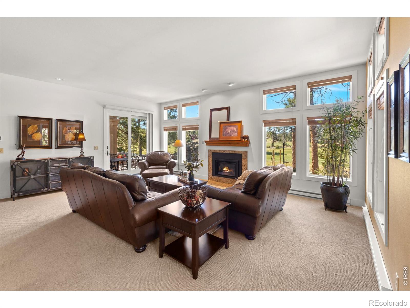 118 Ponderosa Court Red Feather Lakes CO 80545