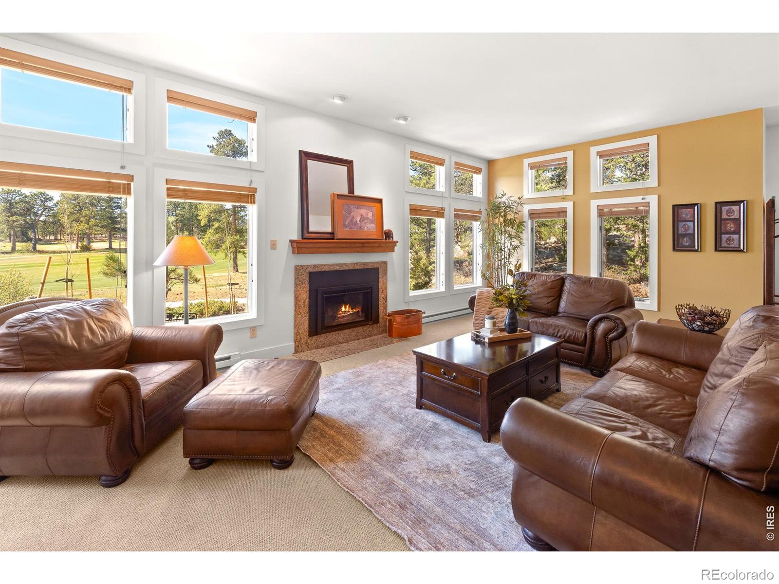 118 Ponderosa Court Red Feather Lakes CO 80545