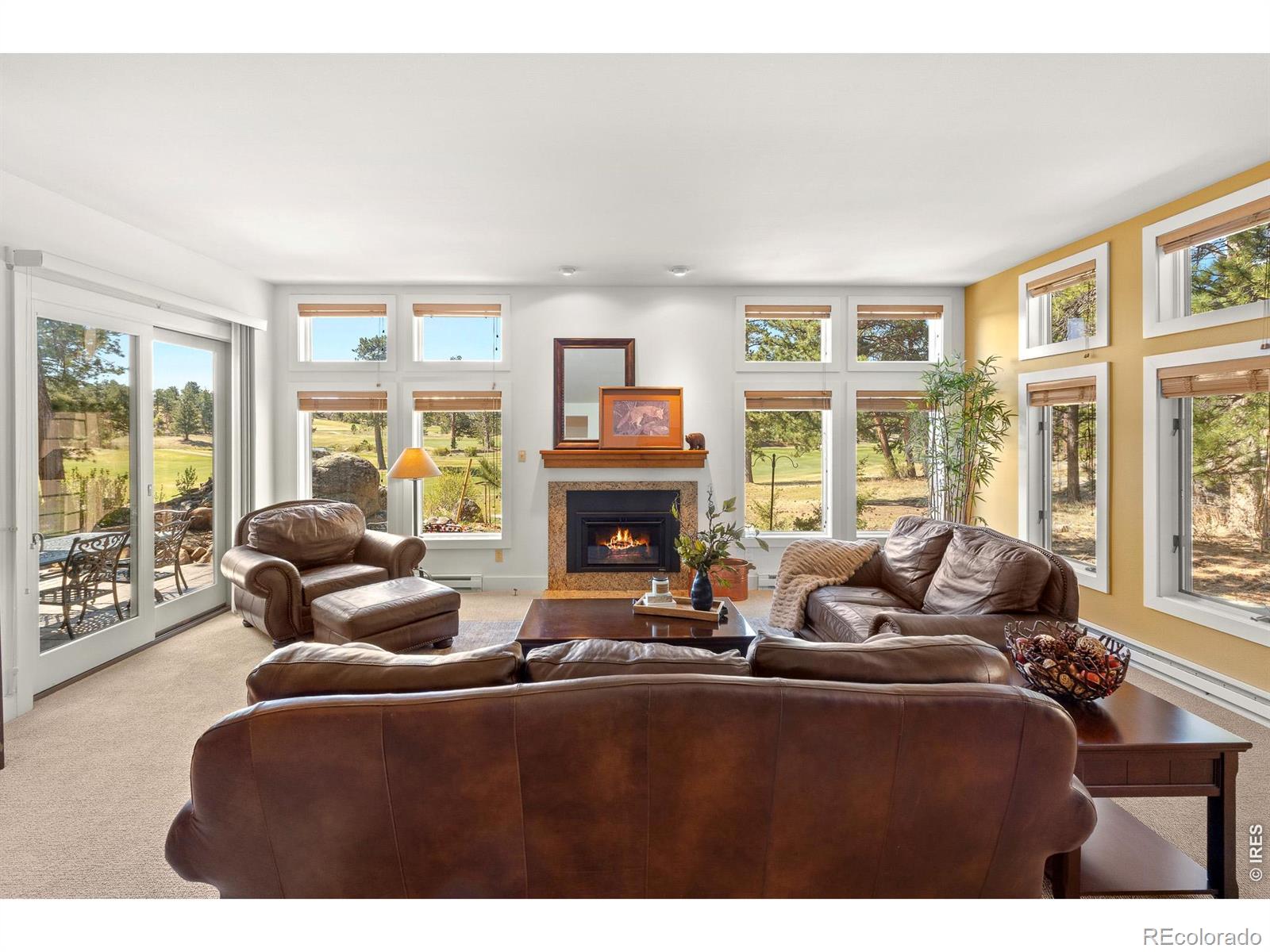 118 Ponderosa Court Red Feather Lakes CO 80545