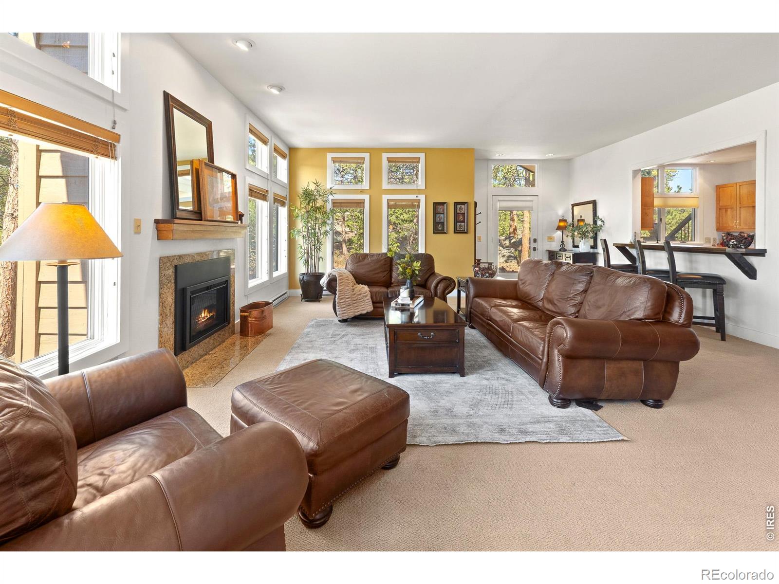 118 Ponderosa Court Red Feather Lakes CO 80545