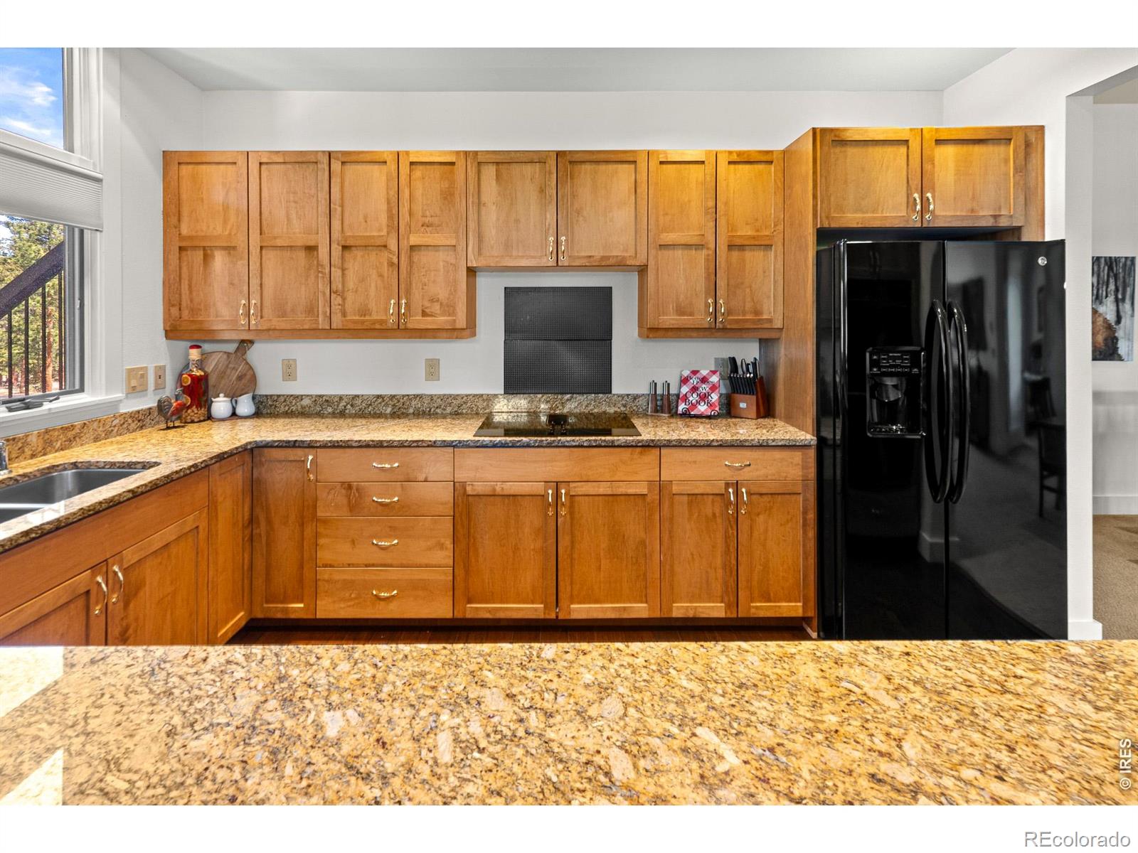 118 Ponderosa Court Red Feather Lakes CO 80545
