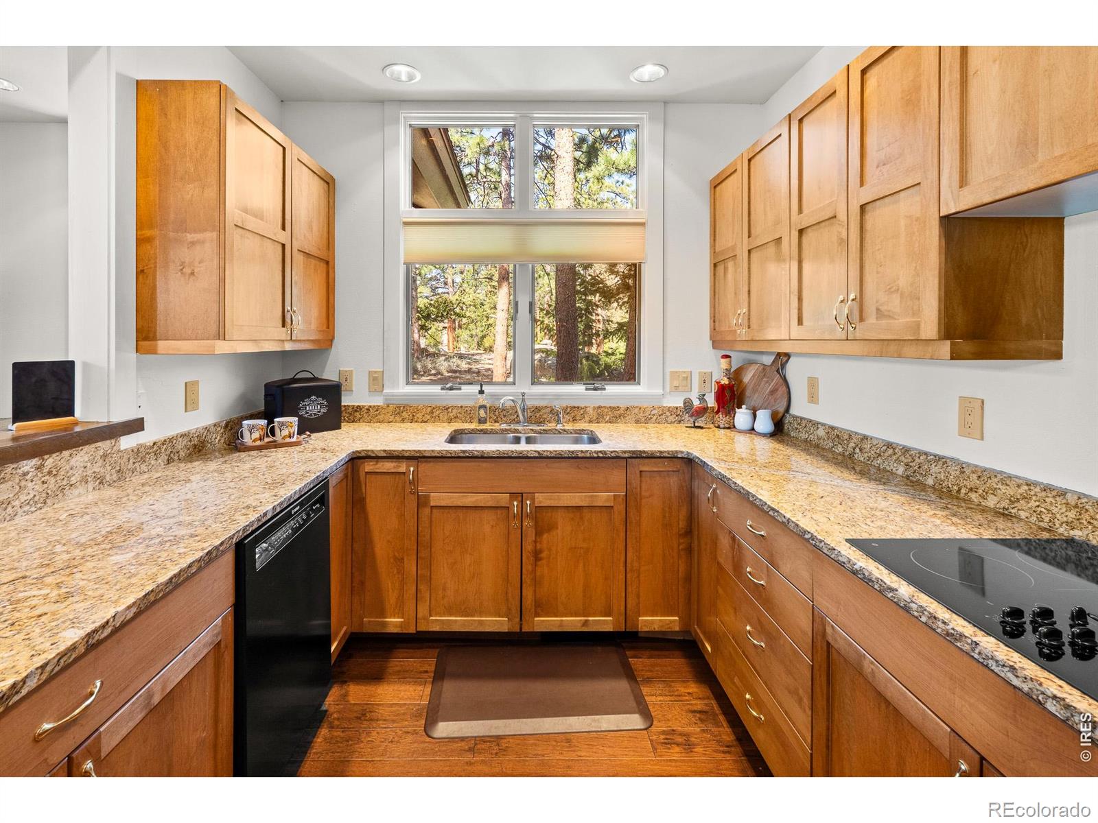 118 Ponderosa Court Red Feather Lakes CO 80545