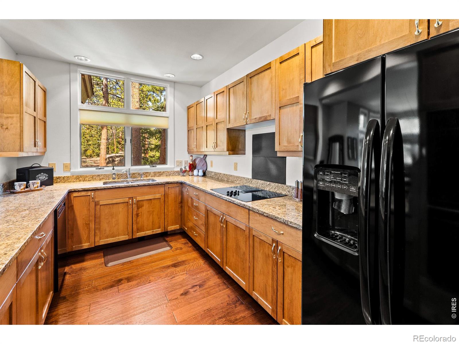 118 Ponderosa Court Red Feather Lakes CO 80545
