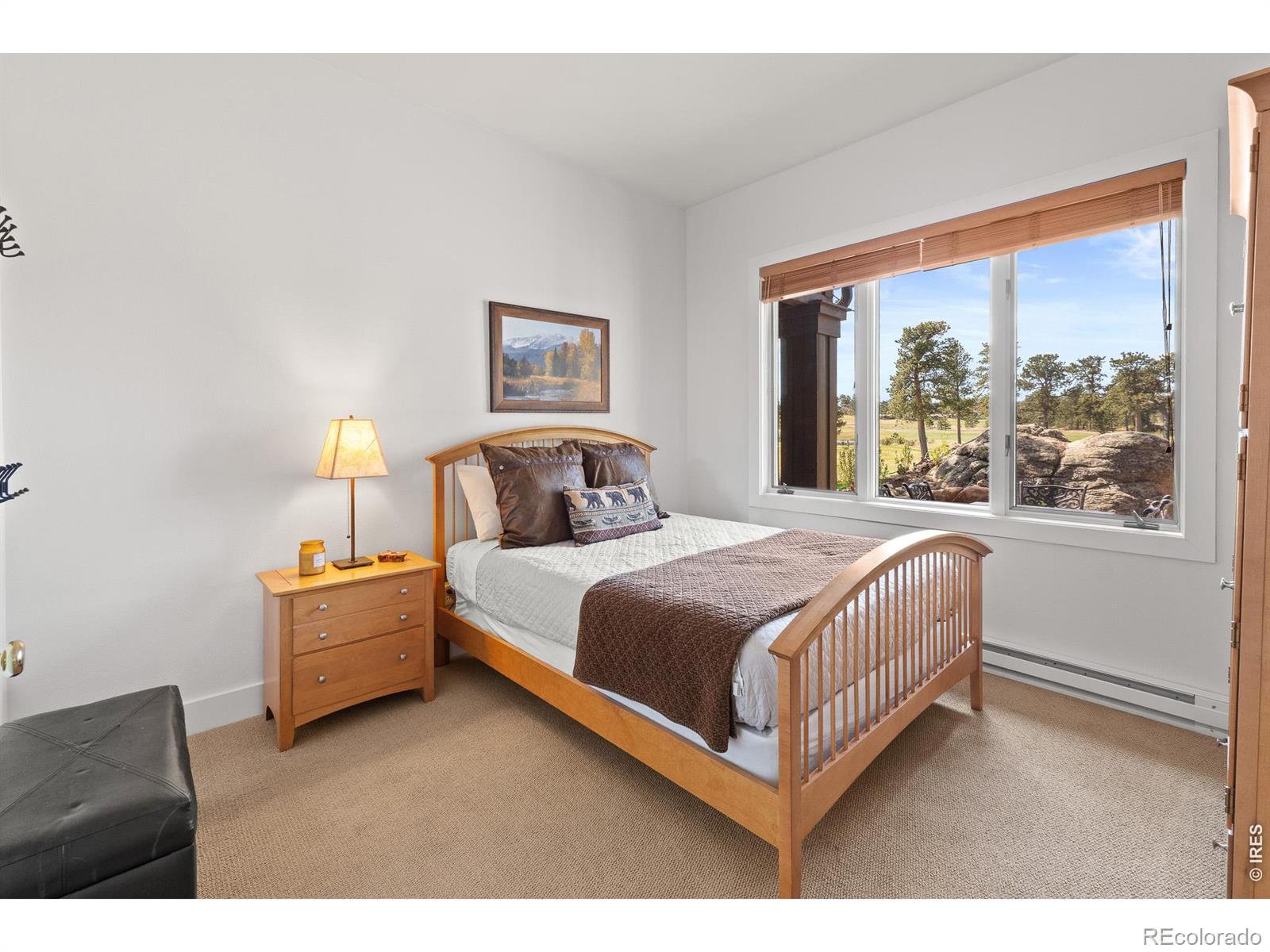 118 Ponderosa Court Red Feather Lakes CO 80545