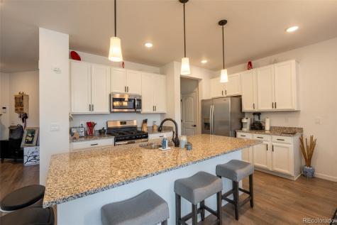 15619 Kitchener Way Monument CO 80132