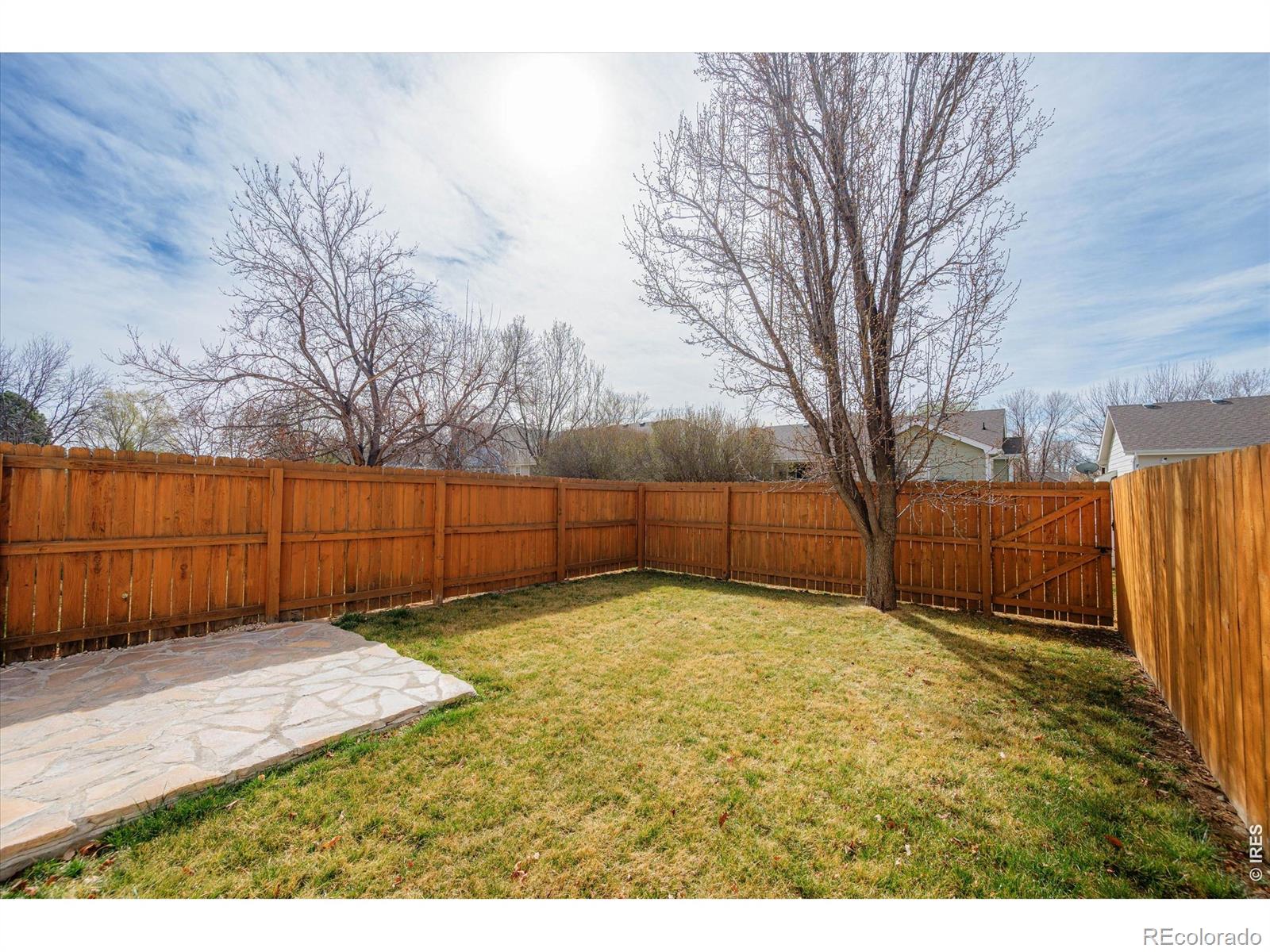 1464 Peacock Place Loveland CO 80537