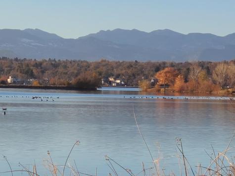 5343 W 16th Avenue Lakewood CO 80214