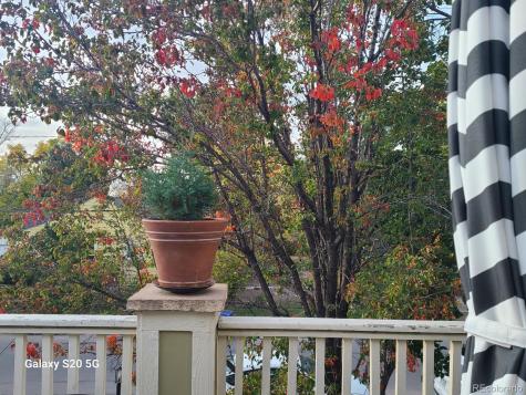 5343 W 16th Avenue Lakewood CO 80214