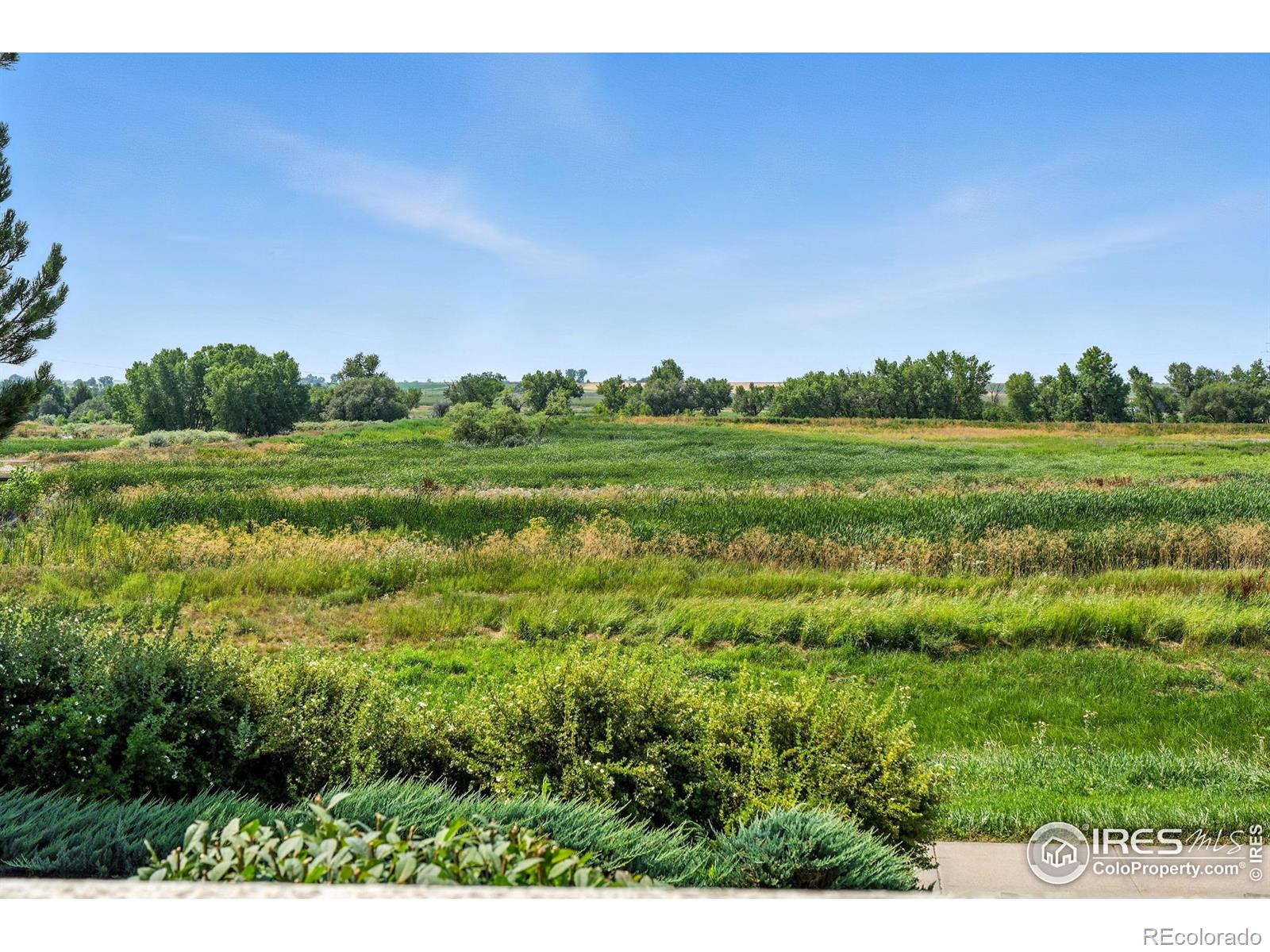 1601 Great Western Drive Longmont CO 80501