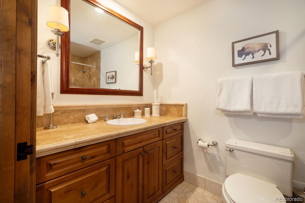675 Lionshead Place Vail CO 81657