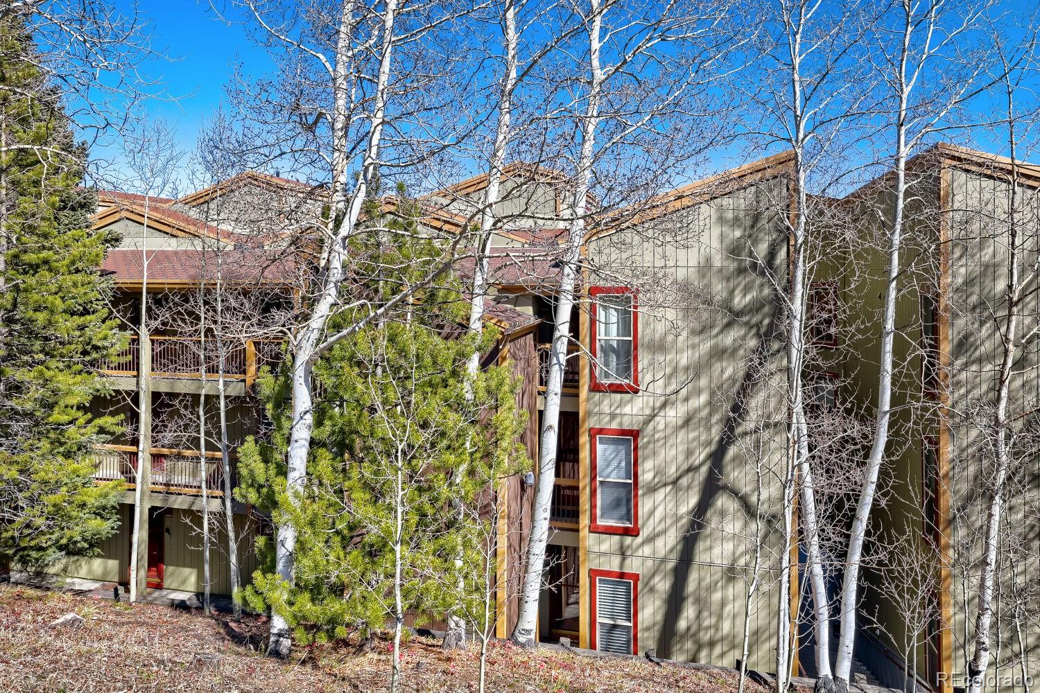 2401 Ryan Gulch Court Silverthorne CO 80498