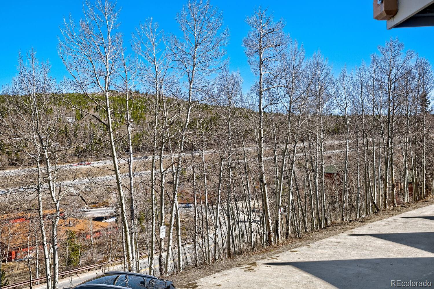 2401 Ryan Gulch Court Silverthorne CO 80498