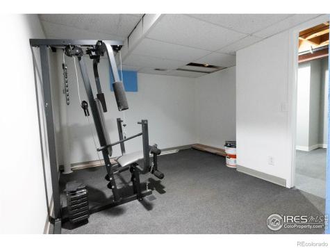 1517 S Owens Street Lakewood CO 80232