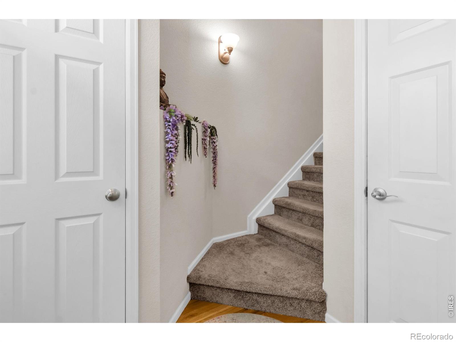 3815 Rock Creek Drive Fort Collins CO 80528