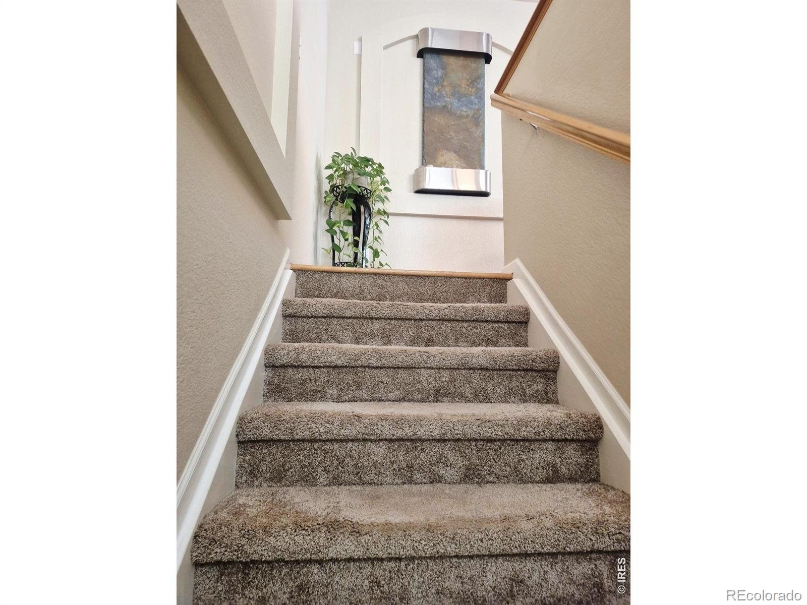 3815 Rock Creek Drive Fort Collins CO 80528