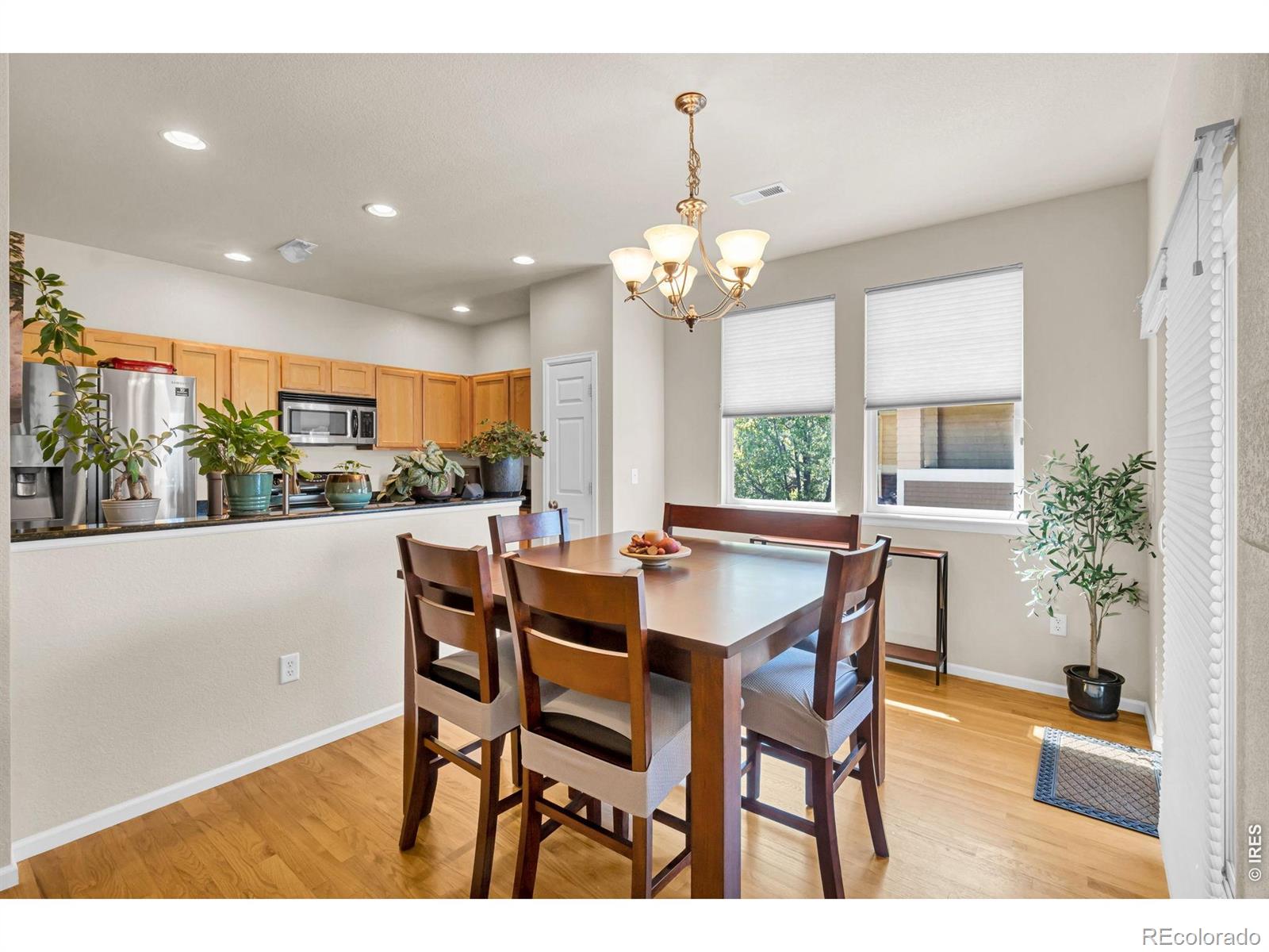 3815 Rock Creek Drive Fort Collins CO 80528