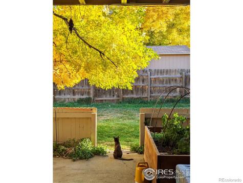 1150 Bacchus Drive Lafayette CO 80026