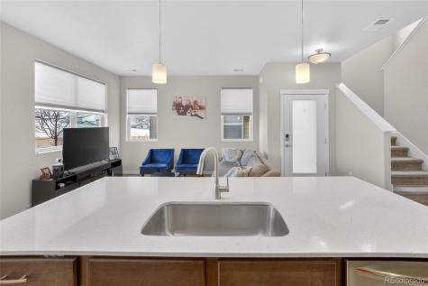 4117 E 98th Place Thornton CO 80229