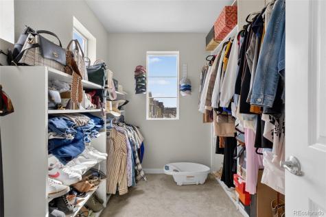 4117 E 98th Place Thornton CO 80229