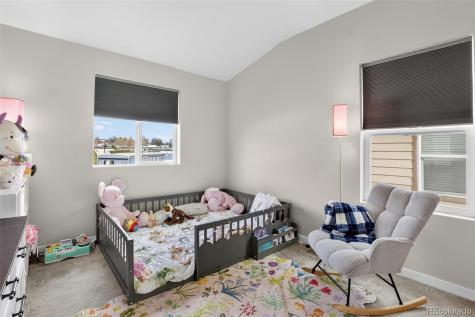 4117 E 98th Place Thornton CO 80229