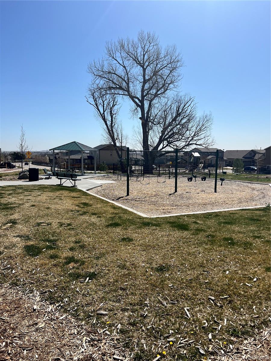 4117 E 98th Place Thornton CO 80229