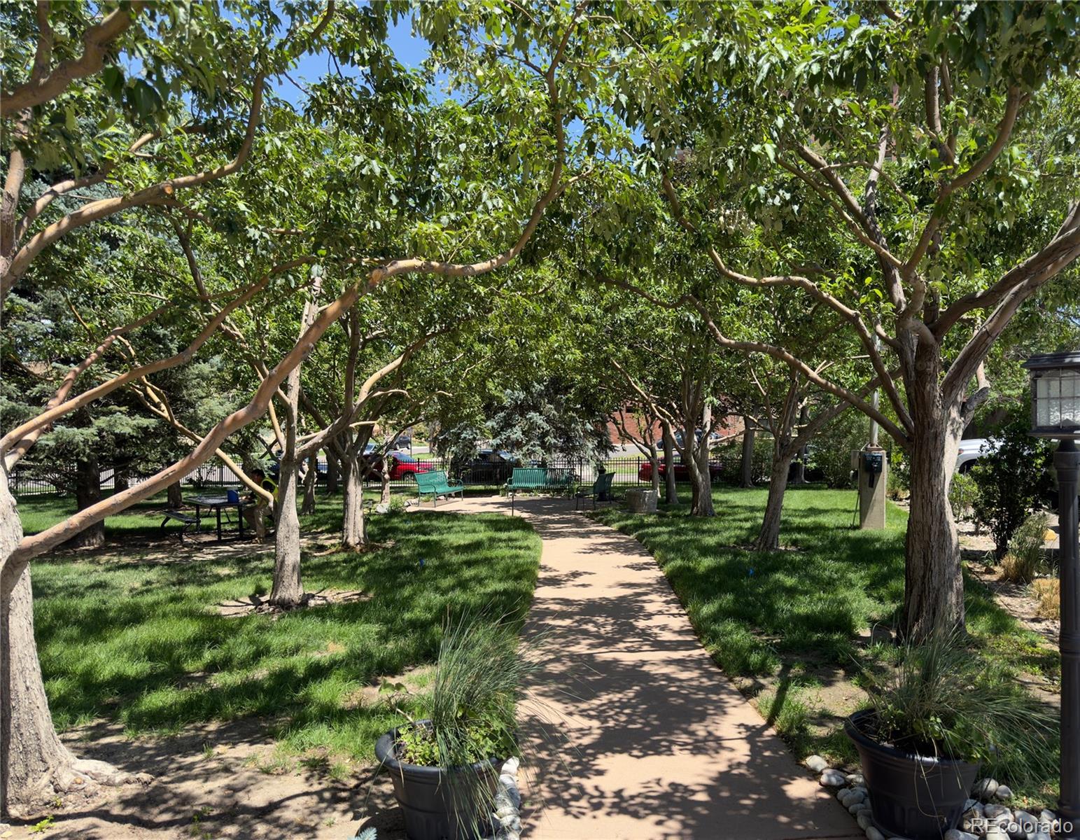 130 N Pearl Street Denver CO 80203