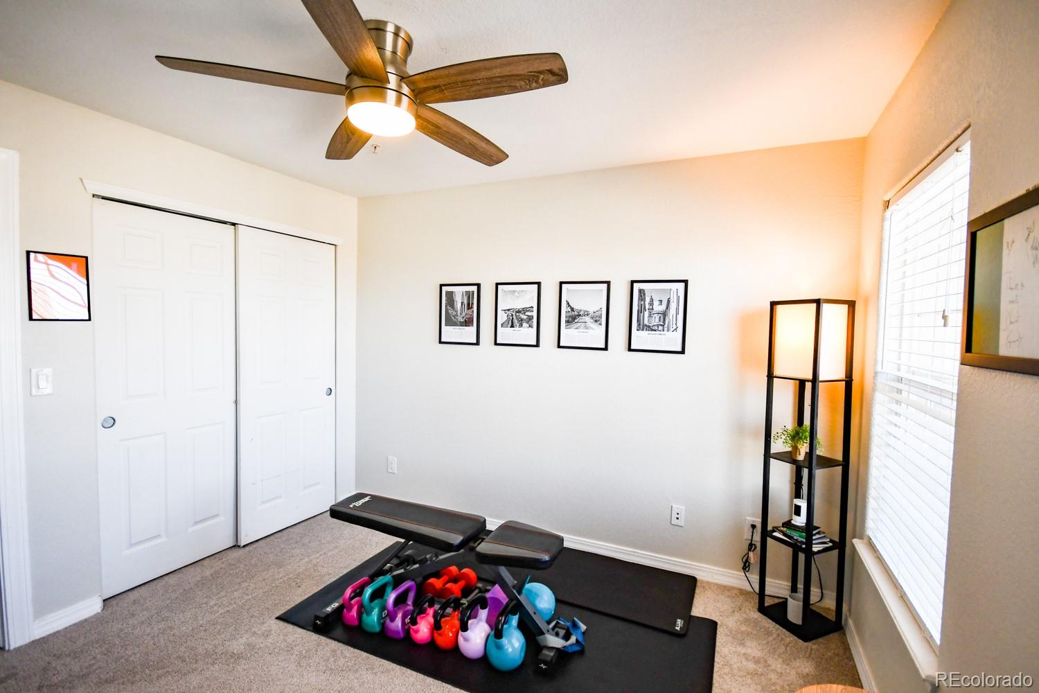 479 Black Feather Loop Castle Rock CO 80104