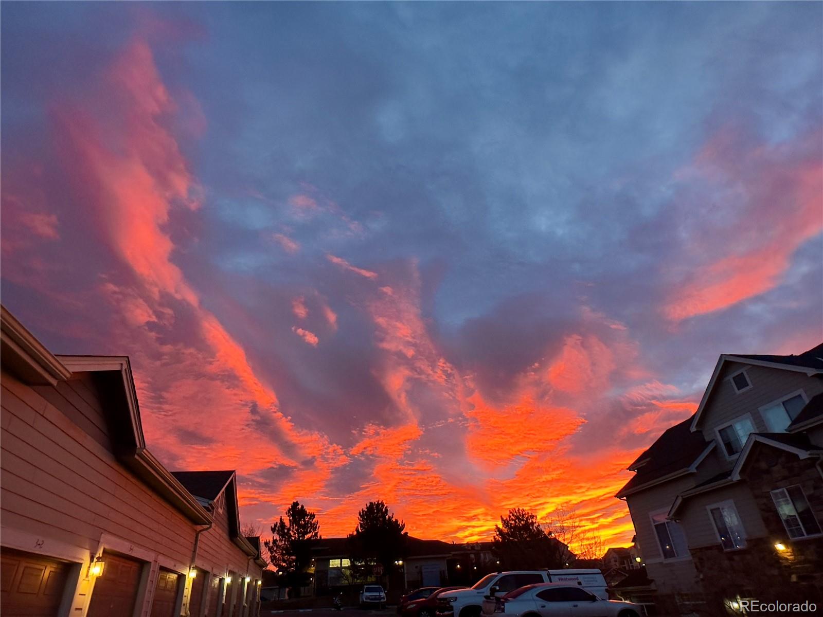 479 Black Feather Loop Castle Rock CO 80104