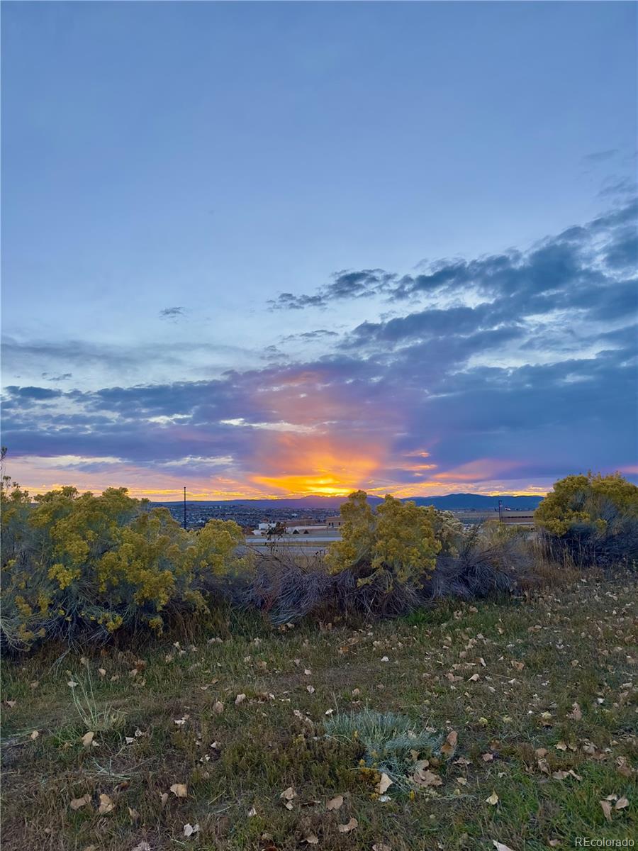 479 Black Feather Loop Castle Rock CO 80104