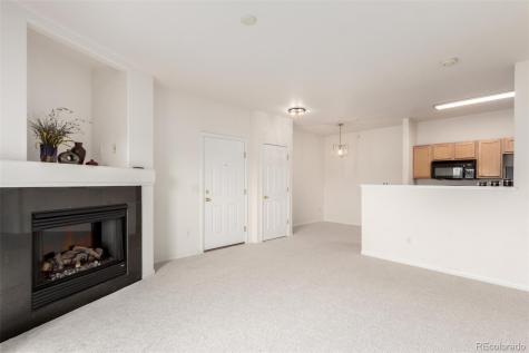 4451 S Ammons Street Littleton CO 80123